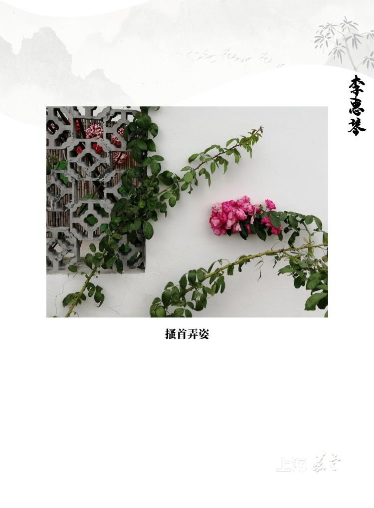 61cd6103ab4146fa8a905936dd994481.jpg
