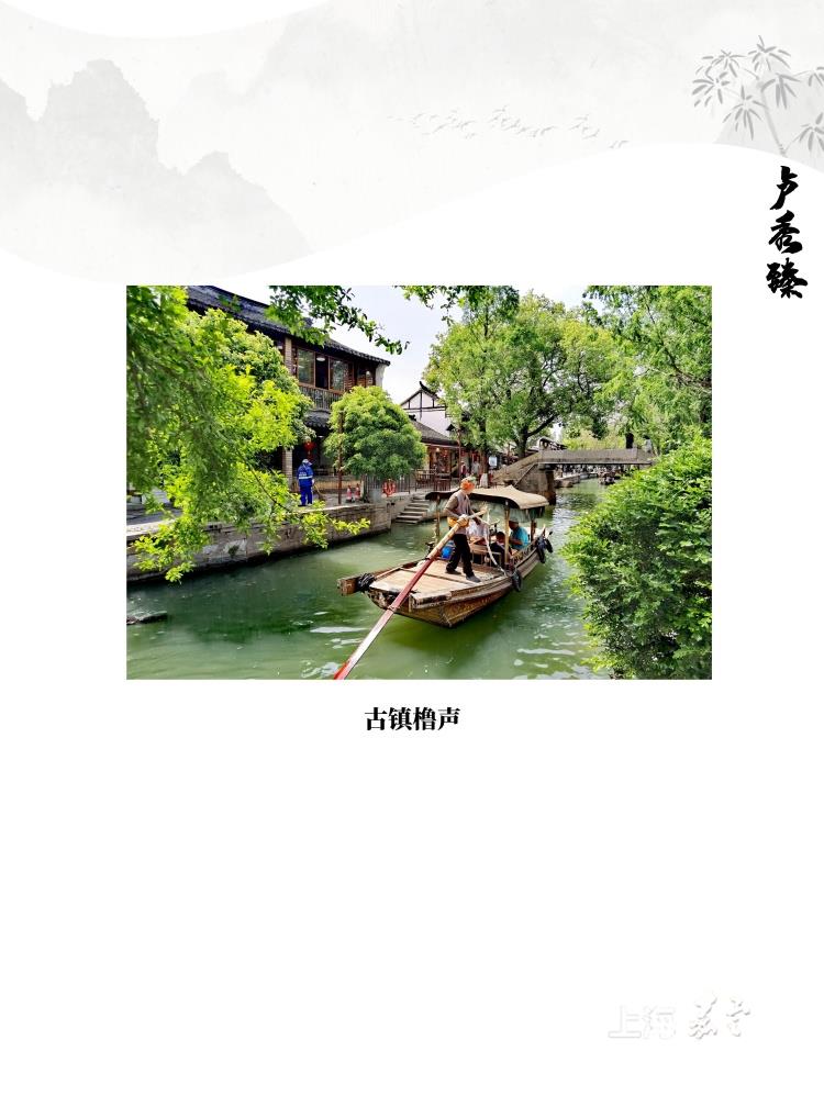 cd2432f9f64e4373a39150b52e44998a.jpg